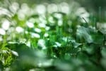 Legal 500 Green Ambassadors 2026 