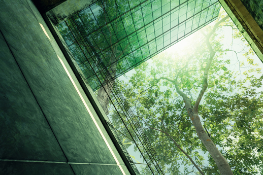 Pioneer Point acquires OG Clean Fuels from ABN AMRO SIF and Meewind