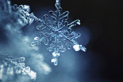 Indirect Tax Winter Course 2026 - Four expert sessions in January and February