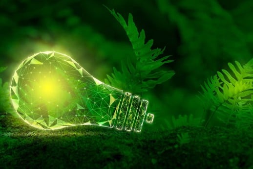 ACM gives the green light to the Dutch CSDDD implementation, with four strings attached 