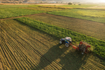 New farm lease decree in Flanders