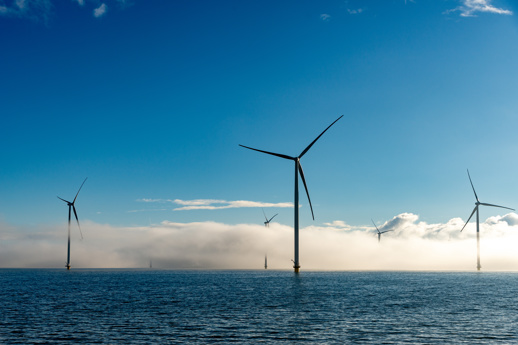 Belgium offshore wind tender amendment and Ventilus permit push