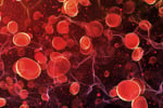 Accord Healthcare successfully signed an agreement to acquire Prothya Biosolutions