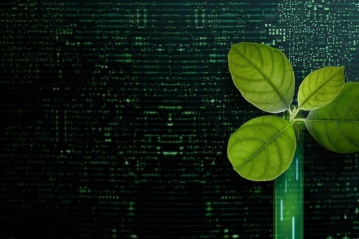 The Omnibus Saga continues: EU Parliament’s revised Final Position on CSRD and CSDDD 