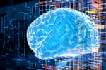 AI in the workplace: navigating knowledge, trust and transformation