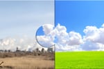 Whitepaper – exploring solutions for Dutch nitrogen impasse
