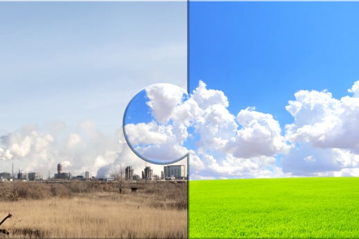 Whitepaper – exploring solutions for Dutch nitrogen impasse