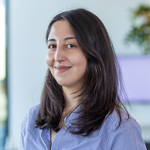 Melodi Anasiz
