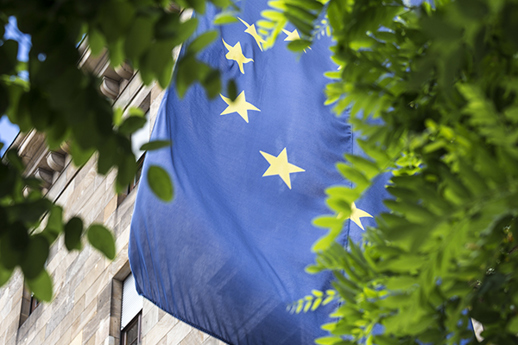 Quoted: Implementation of the European Mobility Directive in Dutch law