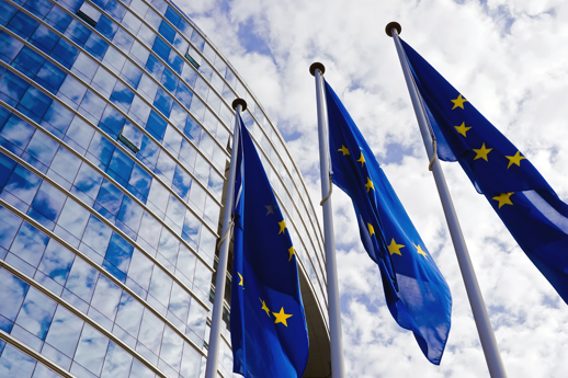 Domestic versus EU tender procedures: a double standard 