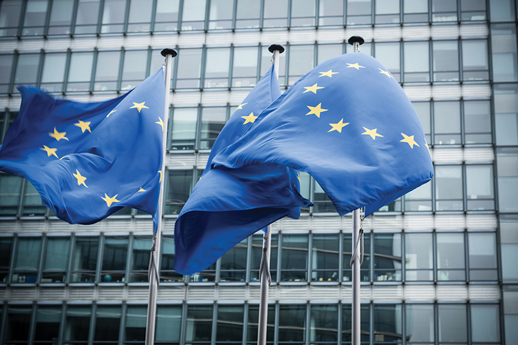EU Council Adopts Digital Services Act