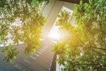 Our Dutch insights in The Legal 500: Environment – Country Comparative Guide