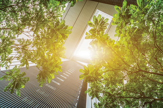 Our Dutch insights in The Legal 500: Environment – Country Comparative Guide