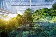 ESG - How does the EU Taxonomy Regulation impact the real estate sector?