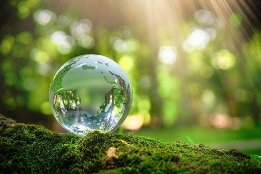 The Omnibus endgame: EU Parliament’s Anticipated Final Position on CSRD and CSDDD