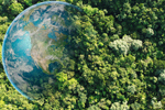 Anti-ESG update: navigating the backlash on ESG