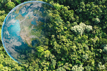 EU Legislator’s amendment to the EUDR: Key changes and next steps