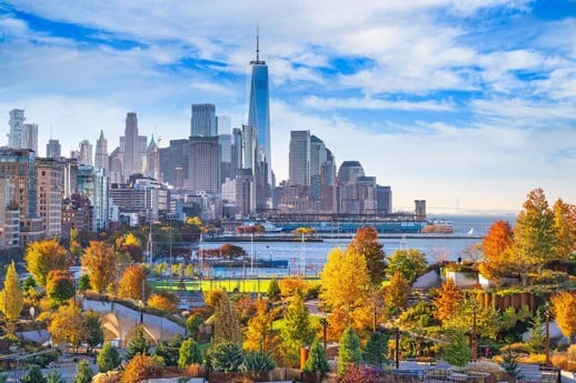Eline Viersen to co-lead Loyens & Loeff’s New York office