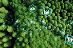 Update on developments regarding the Corporate Sustainability Due Diligence Directive