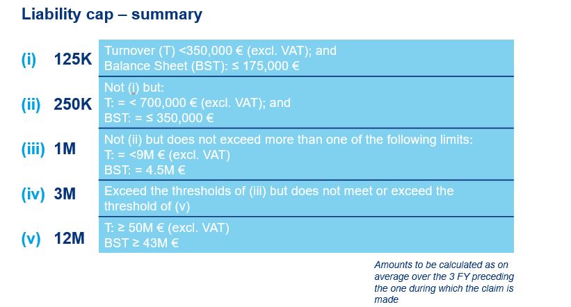 recommendations to migrate directors liability in beligian companies....JPG