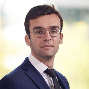 Sead Beganovic